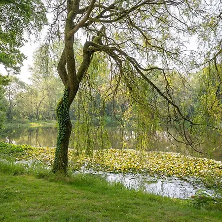 Waldhotel Und Restaurant Zeitreise * Bramsche