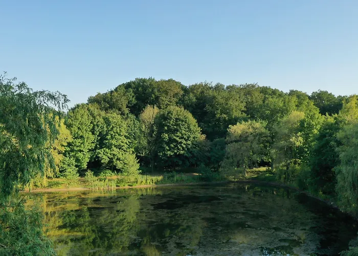 Waldhotel Und Restaurant Zeitreise 호텔